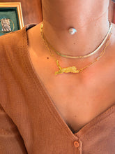 LEOPARD hook ダイソンチェーン