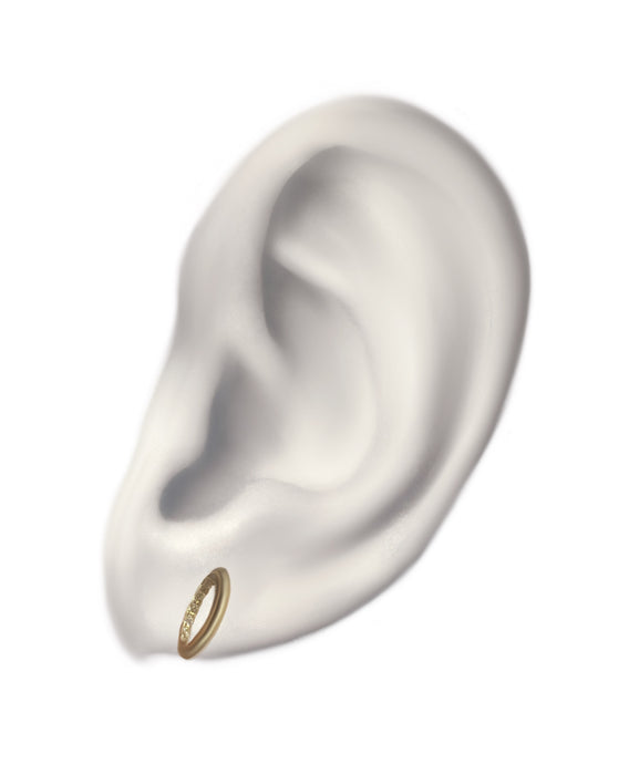 Inside diamond circle stud pierce