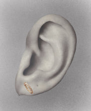 InsideOut diamond circle stud pierce